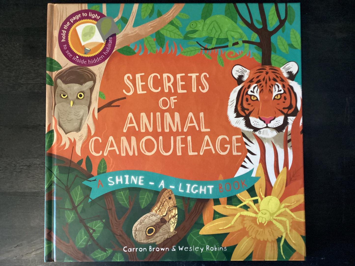 Secrets of Animal Camouflage,Brown, Carron ; Robins, Wesley