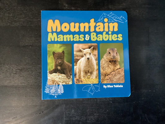 Mountain Mamas & Babies
