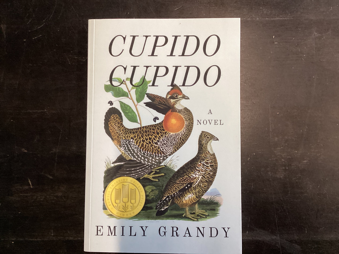 Cupido cupido - Grandy, Emily