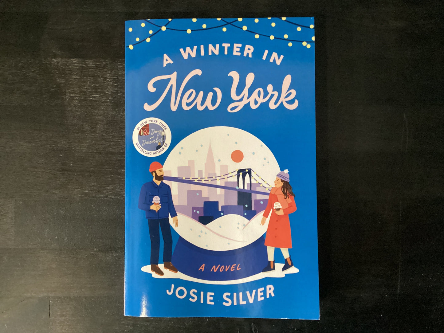 A Winter in New York