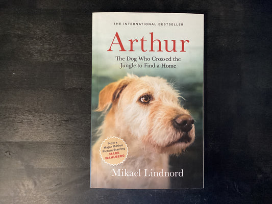 ARTHUR M/TV                   ,LINDNORD MIKAEL