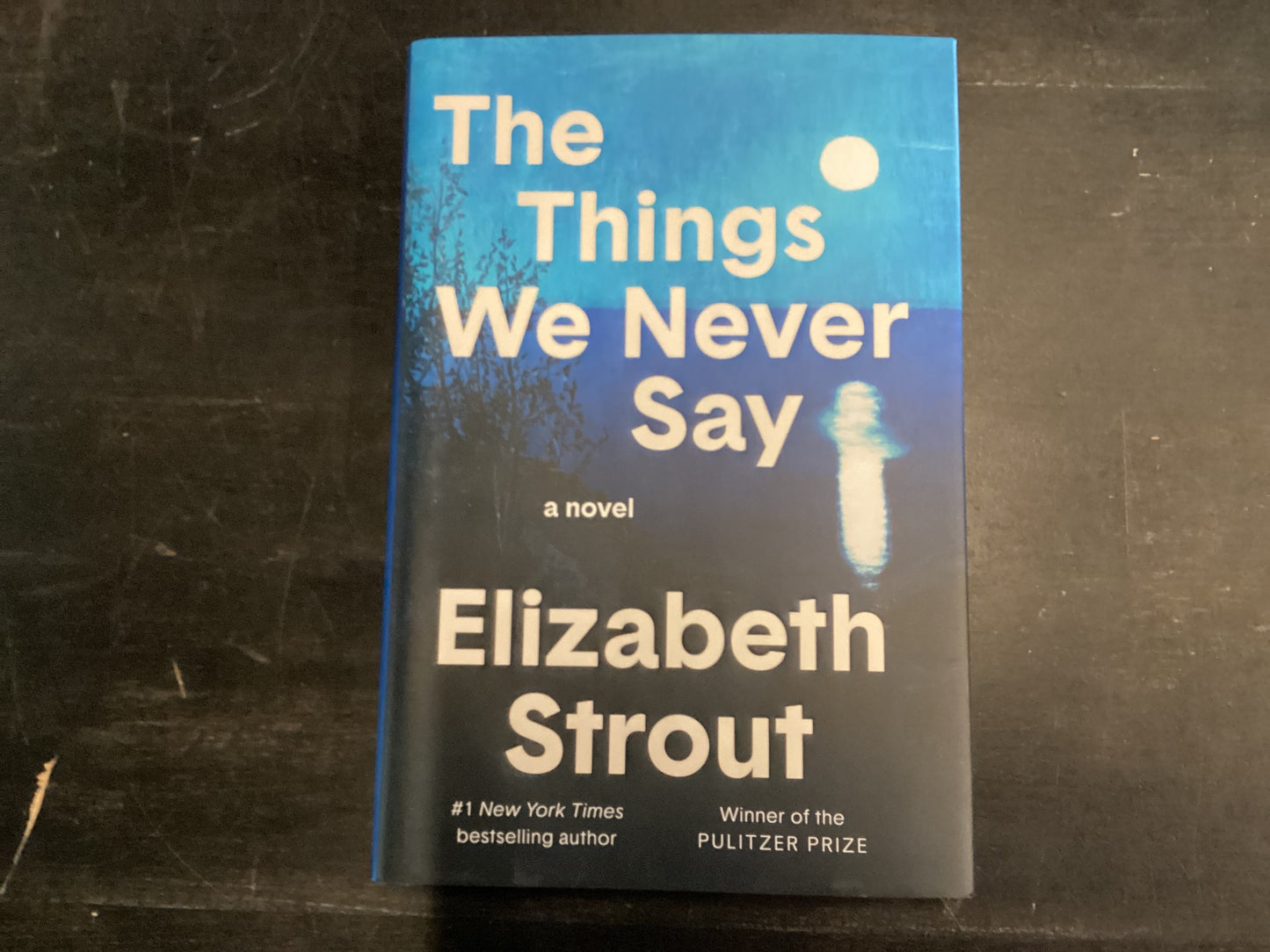 The Things We Never Say - Strout, Elizabeth