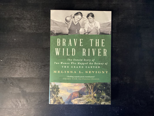 BRAVE THE WILD RIVER          ,SEVIGNY MELISSA