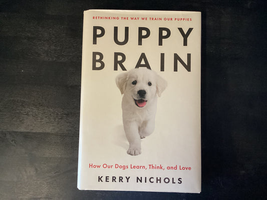 PUPPY BRAIN                   ,NICHOLS KERRY