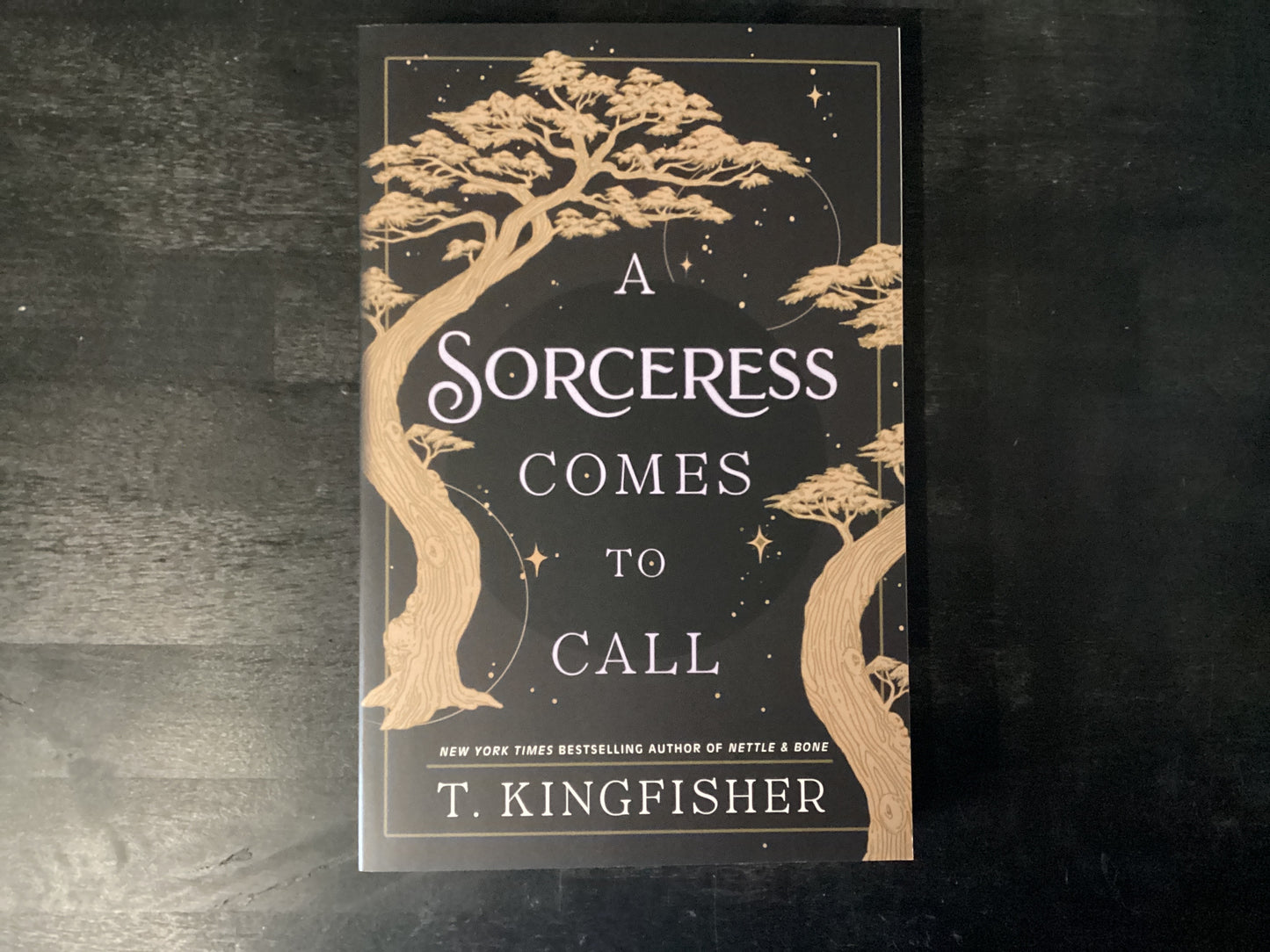 Sorceress Comes to Call,Kingfisher, T