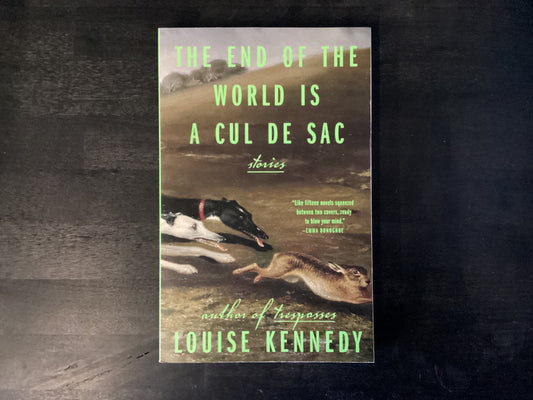 End of the World Is a Cul de Sac: Stories,Kennedy, Louise