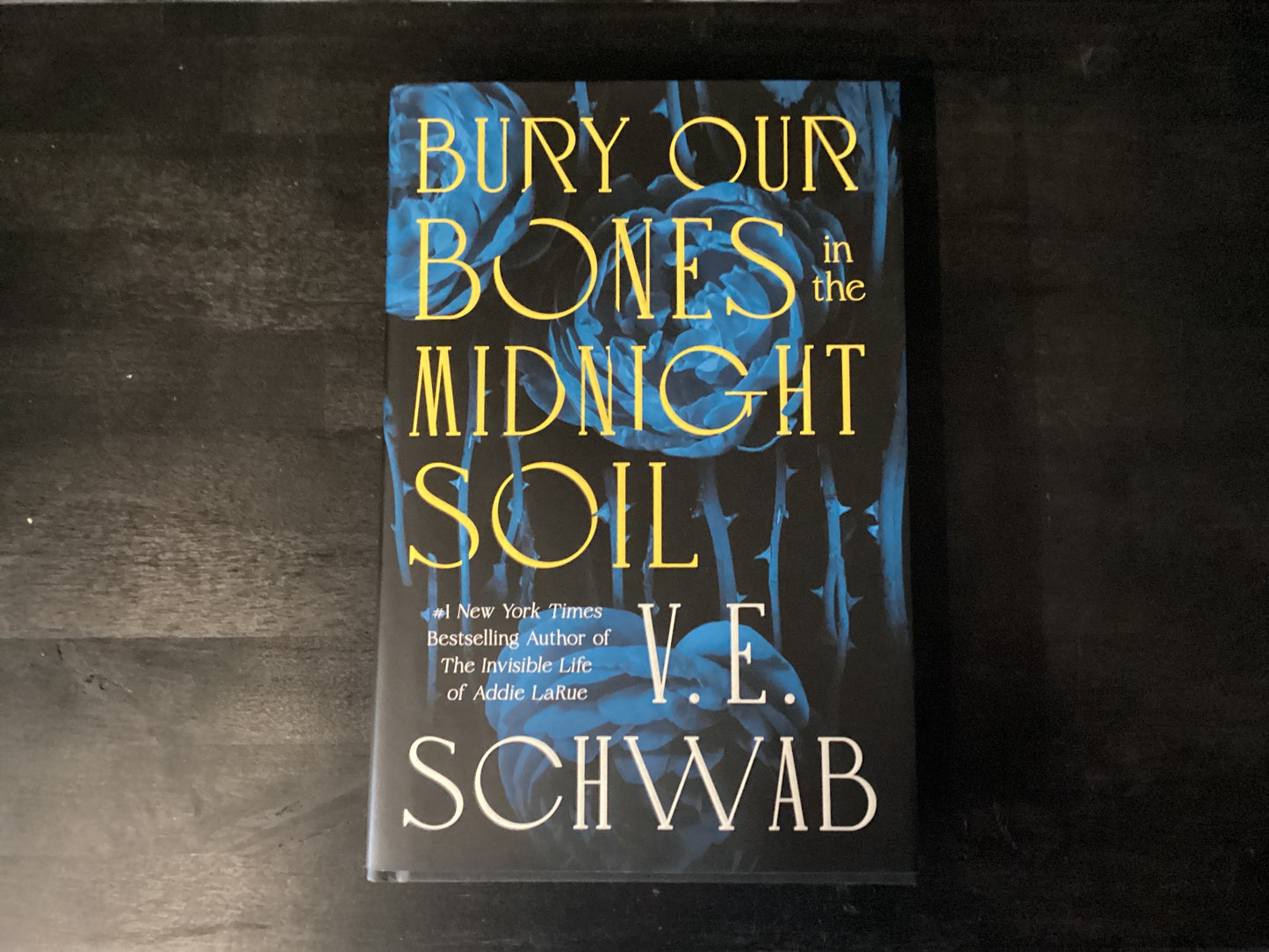 Bury Our Bones in the Midnight Soil,Schwab, V E